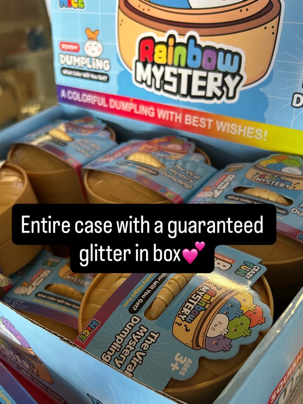 Case of 12 Mystery Squishy Dumplings